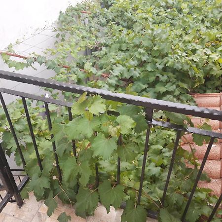 Melon-1, Murter, House For Rest 外观 照片