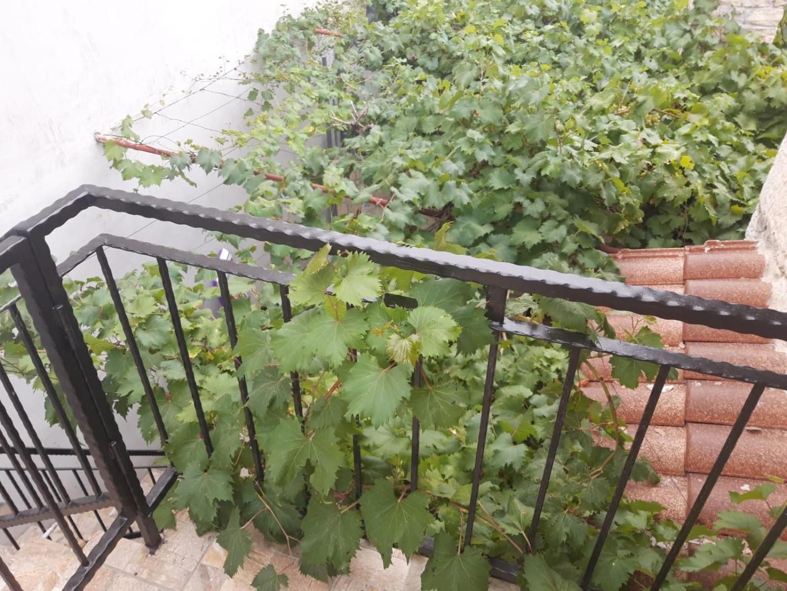 Melon-1, Murter, House For Rest 外观 照片